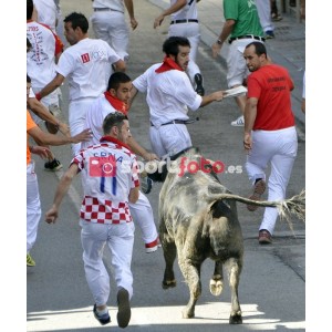 Fotografía de los Encierros de Ampuero 2014