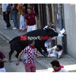 Fotografía de los Encierros de Ampuero 2015